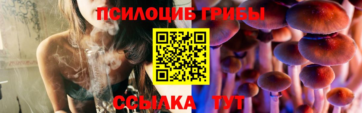 Чайковский  Галлюциногенные грибы Psilocybe  Вход с VPN 